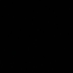 Meet your Posher, Rose